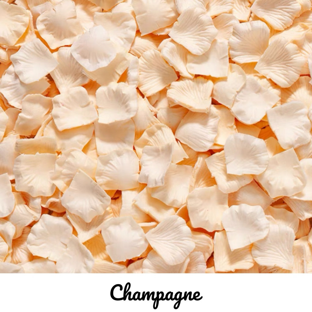 🌷 ROSE PETALS Artificial Rose Petals Fake Rose Petal Proposal Wedding Decoration [READY STOCK IN SG]