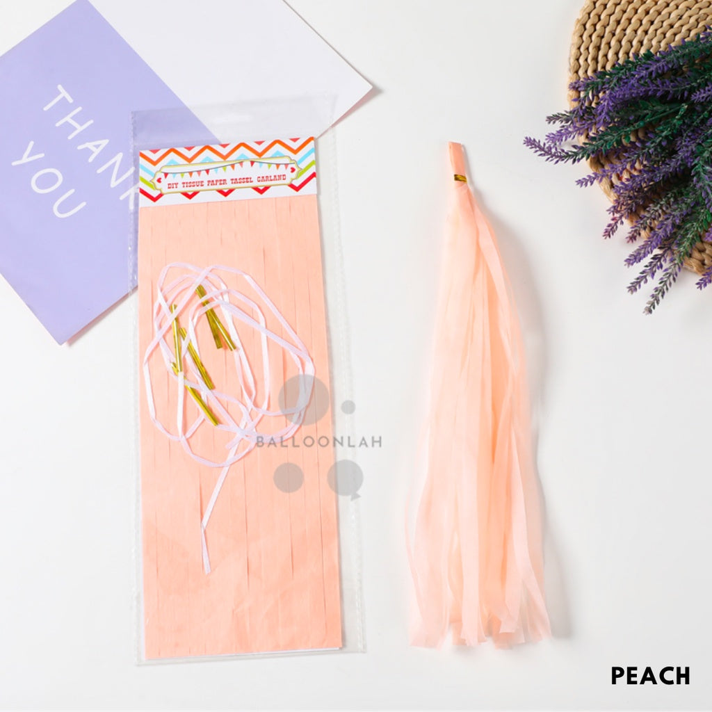 Paper Tassel Garland DIY Birthday Decoration Tissue Paper Garland [READY STOCK IN SG]