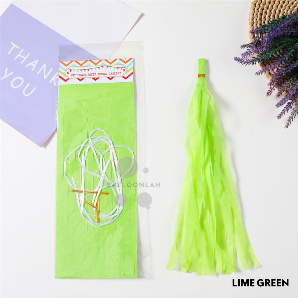 Paper Tassel Garland DIY Birthday Decoration Tissue Paper Garland [READY STOCK IN SG]