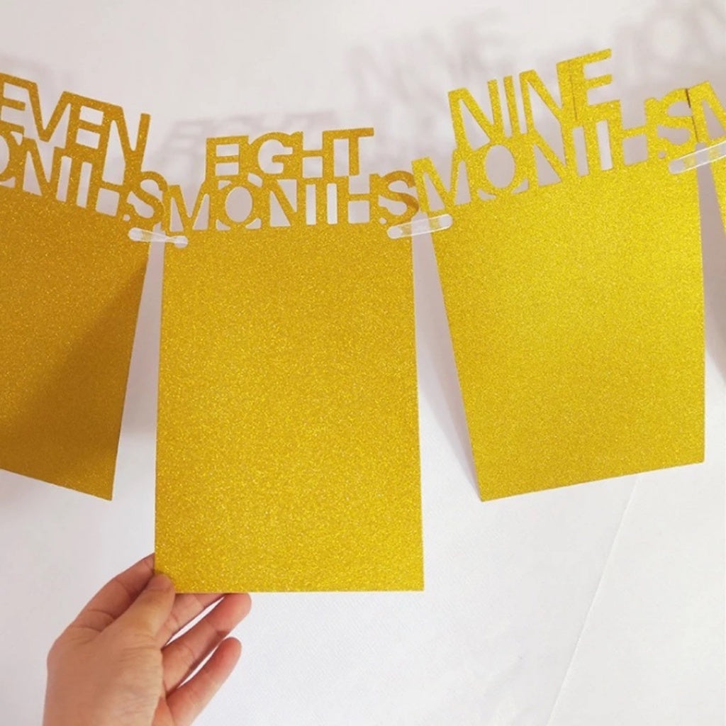 One Year Old Baby Photo Banner Milestone Bunting Birthday Banner [READY STOCK IN SG]