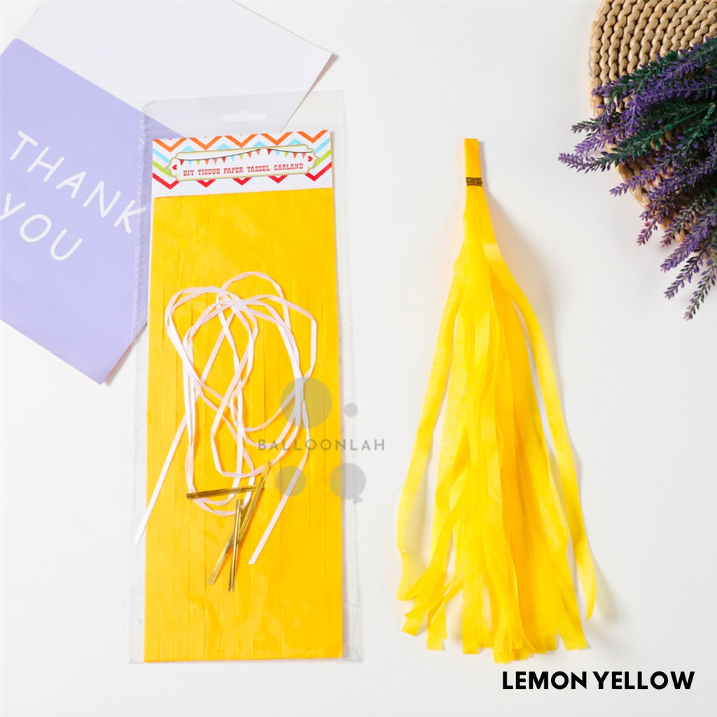 Paper Tassel Garland DIY Birthday Decoration Tissue Paper Garland [READY STOCK IN SG]
