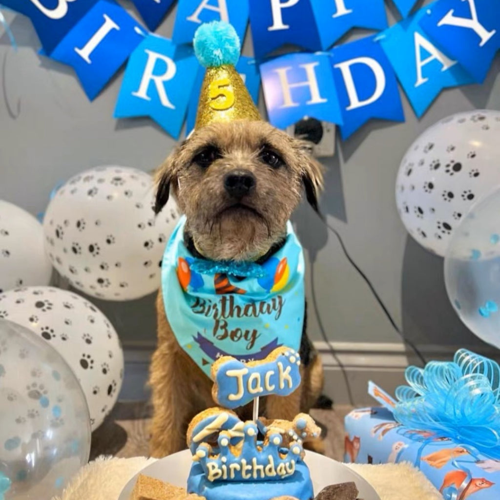 Pet Dog Cat Birthday Set Hat Scarf Balloons Party Bunting [READY STOCK IN SG]